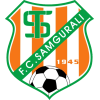team1-logo